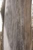 DSC01678.thumb.JPG.e43d2c9f8833356c2d8831bedbdbb878.JPG