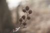 DSC01689.thumb.JPG.78768f10bb3b98f1d76cf5b6d677592b.JPG