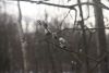 DSC01750.thumb.JPG.0223b2d96dda2573945b49832be54e13.JPG