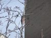 DSC01772_.thumb.jpg.06e811f9404c435fff511dc0cb8e3921.jpg