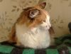 DSC01779_.thumb.jpg.e73a03a94381307a3c1c9e4cc627fb71.jpg