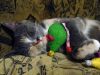 DSC01823_.thumb.jpg.aeb9ed5bde665aead288f1c0834b3fc1.jpg