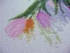 DSC01840_.thumb.jpg.ef36f191731fbfc32ecebd2d43358136.jpg