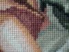 DSC02361.thumb.JPG.8044e7d92b19c500aaeec2e6e45f5a8f.JPG
