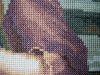 DSC02363.thumb.JPG.fe5c1f5456d1e1797239620676dcc43a.JPG