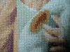 DSC02365.thumb.JPG.17ee98fa30ab8ceebf206d05d2b530ff.JPG