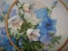 DSC05981.thumb.JPG.b52c53c3e7e70c1e9325b7c63d76bf27.JPG