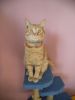 DSC06291.thumb.JPG.f9dc96aeaead08e1c0d11e33e0826cdb.JPG
