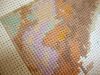 DSC08501.thumb.JPG.08dea917e6bd5e54f7db77ee86b6213c.JPG