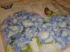 DSC08580.thumb.JPG.543d82500a126b58148472b19bffe4e9.JPG