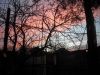 DSCN1393.thumb.JPG.77fd27674ca2da39f94420fc151dac0f.JPG