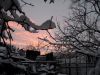 DSCN1412.thumb.JPG.a38a838c6e2f57910eb5d9d585c1c082.JPG