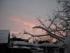 DSCN1413.thumb.JPG.53fdf1aff9a06c847736c9fa01099a71.JPG