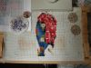 DSCN1545.thumb.JPG.947dde48a828e73495f3a7ee01a3e6b5.JPG