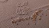 DSC_0210.thumb.JPG.cf5bacc47bbe2fda60f1c26f13164e16.JPG