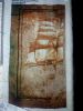 DSC_1796.thumb.JPG.3d6a56a2149dc3bb0a79a35ab7b4f263.JPG
