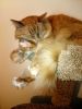 DSC_1816.thumb.JPG.aea32db70f0268af569490eb99417527.JPG