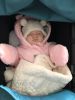 IMG-20170216-WA0000.thumb.jpg.7a7db935ebd5713c1052d3c597cda154.jpg