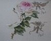 IMG_0974.thumb.JPG.5900c60d533ece52c4cff2ee3622e9db.JPG?1489589411607