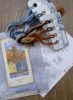 IMG_20170223_155158.thumb.jpg.0cce55dfb088f9b7051b8f3ea39cd0ad.jpg