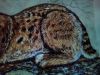 IMG_20170301_213334.jpg