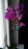 IMG_20170314_105003.thumb.jpg.46d9732462c2f37f5c55a374e9210460.jpg