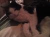 IMG_20170322_215625.thumb.jpg.f9ac74e3c0d7a46f165c1152e29692d0.jpg