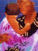 IMG_20170324_123748.thumb.jpg.8855273b7100e079d131185047f6ffb6.jpg