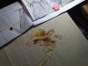 IMG_20170330_062244.thumb.jpg.25e59154cb2a92bd7bdfd6c808595038.jpg
