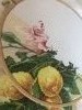 IMG_5486.thumb.JPG.11d76ff0f2f82e092d16ed22f19c8bbe.JPG?1488349454233