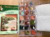 IMG_6084-31-03-17-16-48.jpeg
