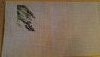 P_20170322_071550.thumb.jpg.e2fce387d376fec785d4124cbe648ee5.jpg?1490168063324