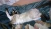 WP_20170302_006.thumb.jpg.d621c10f60685b9622067b55b2261840.jpg