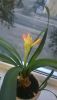 WP_20170315_002.thumb.jpg.3ddf0e0970f4cf8b1d687cd649b93126.jpg