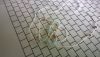 WP_20170315_003.thumb.jpg.0da4da97a6d70e12663edaa7c157caa9.jpg