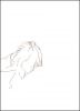 Yoi2.thumb.jpg.788dac79bc95503c5dd0a35f1940caee.jpg