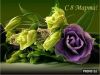 image-0-02-05-6de3e26bd438fc48cfc245a9aed29c445eb1c6af79c2e5677ce54c692945845f-V.thumb.jpg.250a79dc05f30e03c095a9783e5ea0c9.jpg