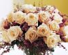 image-225.thumb.jpg.f2d0b9eb55f2dd4fb4db0f42eaae2bcf.jpg