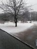 photo_2017-03-27_20-50-40.thumb.jpg.65dccea768376f3aeb37f3bd2dd0c385.jpg