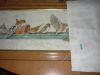 013.thumb.JPG.91dce0a3d7cdcc34c5d0ddd5379ae01b.JPG