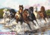 Золотое Руно З-017, В танце водяных брызг