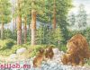 Золотое Руно ДЖ-017, Медведи