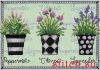 11713.thumb.jpg.69bee40ae7cbc11fe3b8caad295aab09.jpg