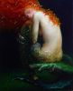 1475958483_mysterious-mermaid-artist-victor-nizovtseva-6.thumb.jpg.3c40907cab8df51915edf0f1f0586d50.jpg