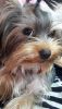 20161128_133327.thumb.jpg.d5784a4ceeebfa2967f3b5d5e17fe8dd.jpg