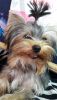 20161128_133345.thumb.jpg.61b68a782e0285f5c600aeb7fa6a526c.jpg