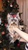 20161231_204113.thumb.jpg.203ab21f0839e3635c8816313c3f087e.jpg