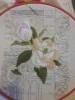 20170206_104346.thumb.jpg.ccd51208e379344d76e13406ad5f03ab.jpg?1491085110426