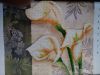 20170330_073446.thumb.jpg.0f0c4cd469029d78f496c260b2e1631c.jpg