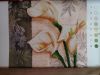 20170331_081810.thumb.jpg.915630cf8d74babee3f6f7541f1c8bf8.jpg